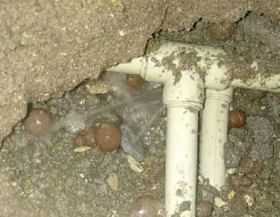 利州卫生间测漏